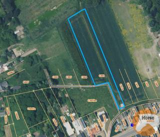 HOFSTADE - Weide op +/-50areDit perceel kunt u terugvinden onder AALST AFD5/Hofstade sectie: C, nummer 803Vrij van pacht en gelegen in waardevol...