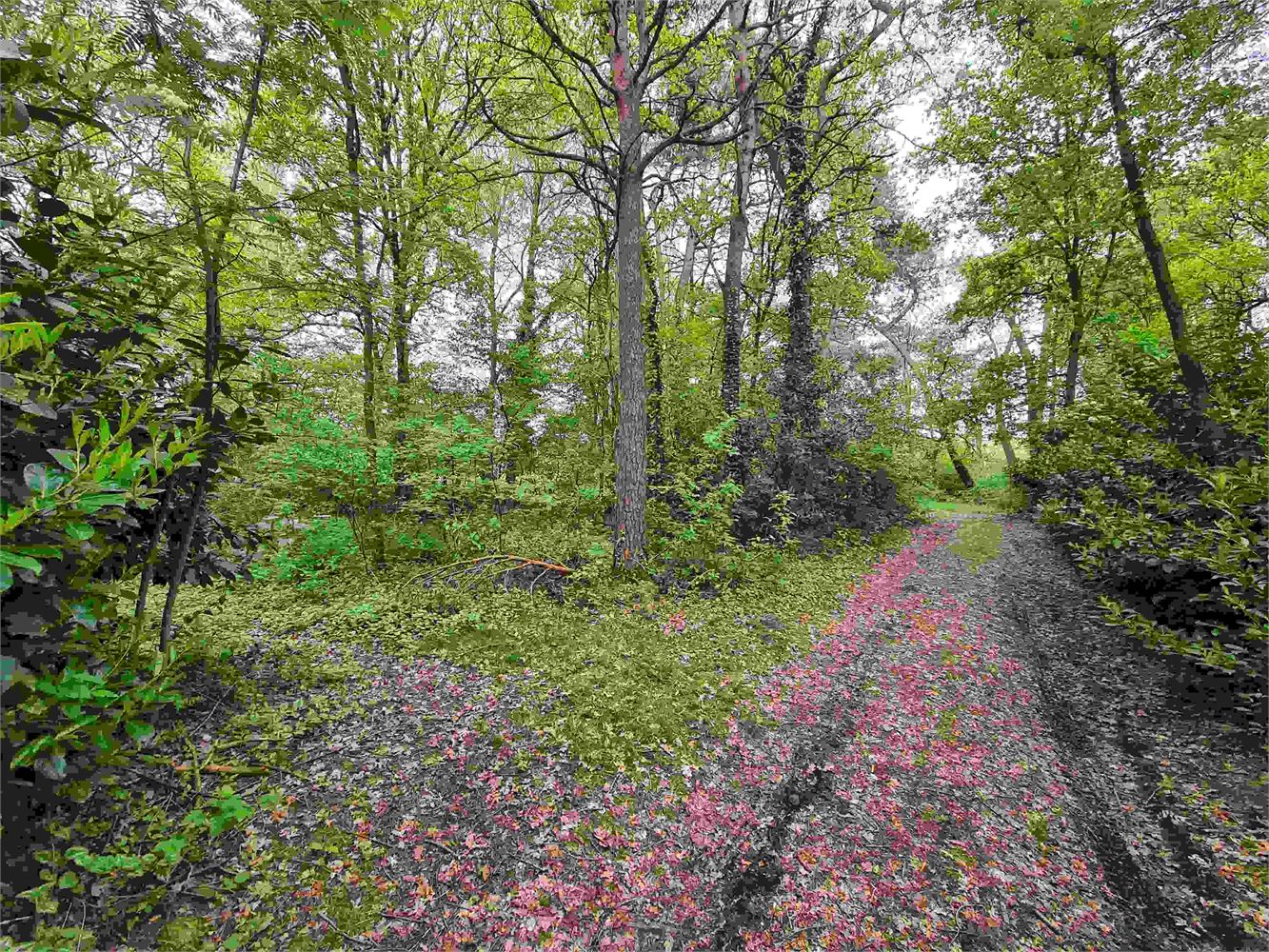 Terrain à vendre à Eksel - photo 4