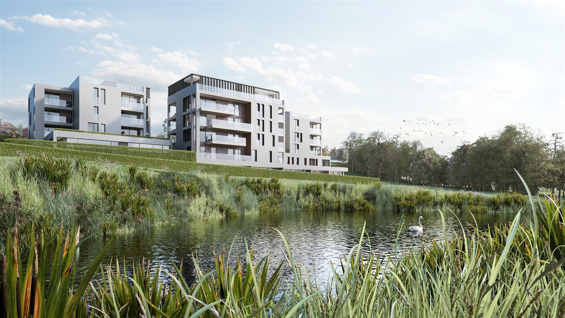 Appartement à vendre à Liedekerke avec 2 chambres - photo 2