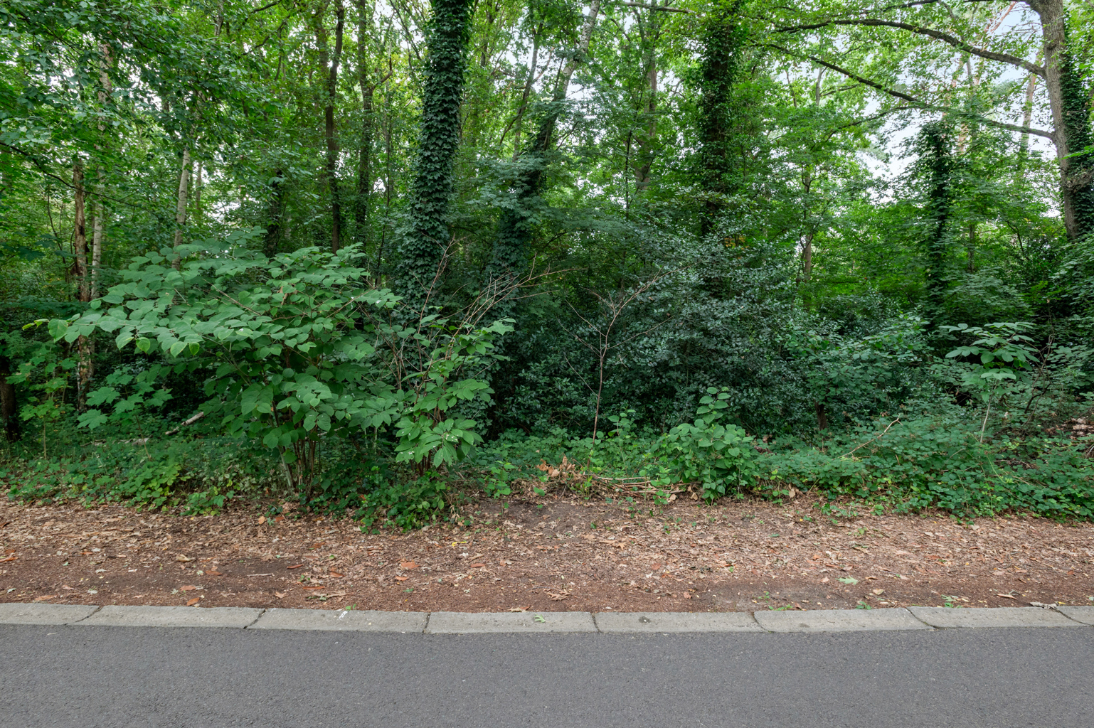 Land for sale in Schoten - photo 4