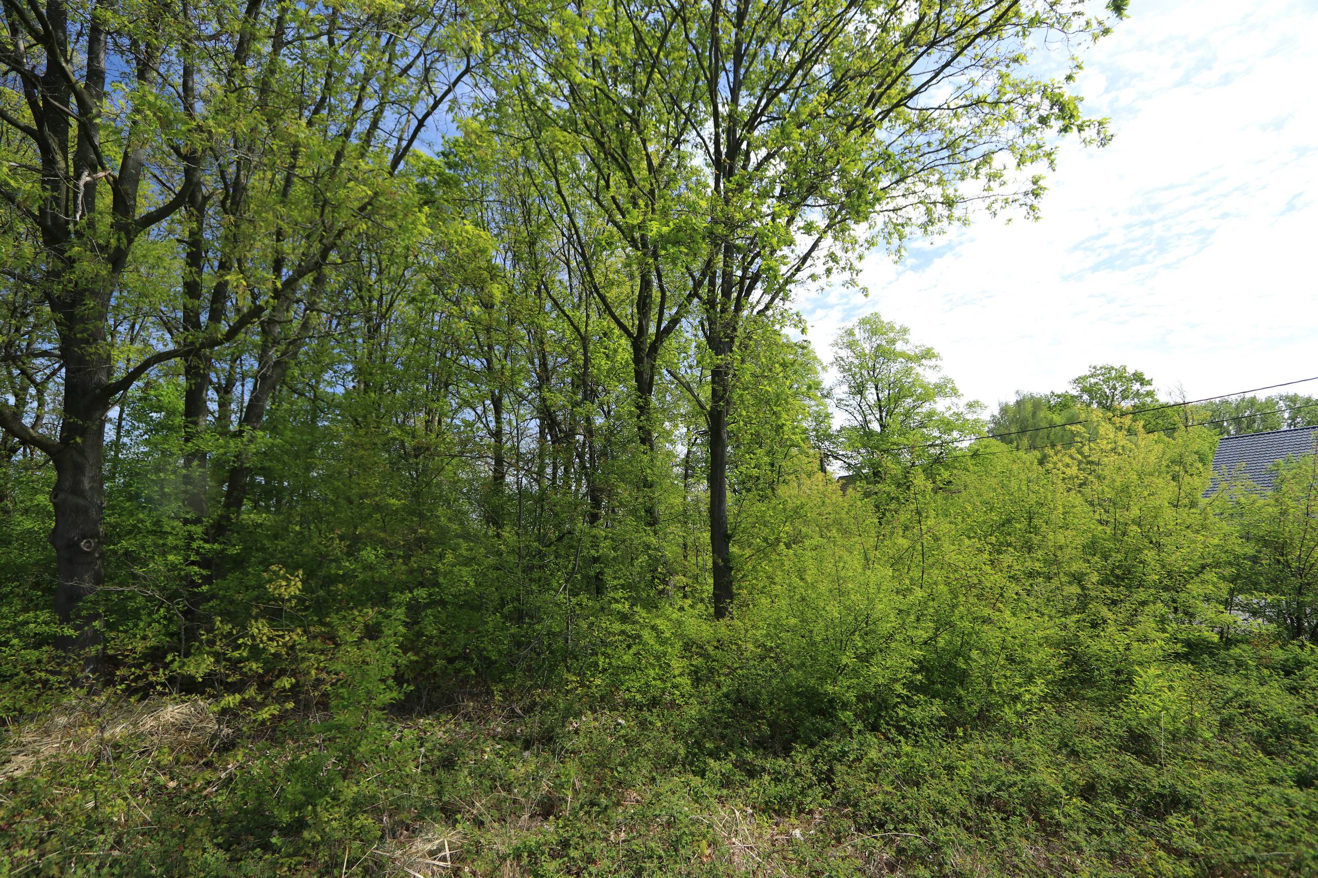 Terrain à vendre à Aarschot - photo 4