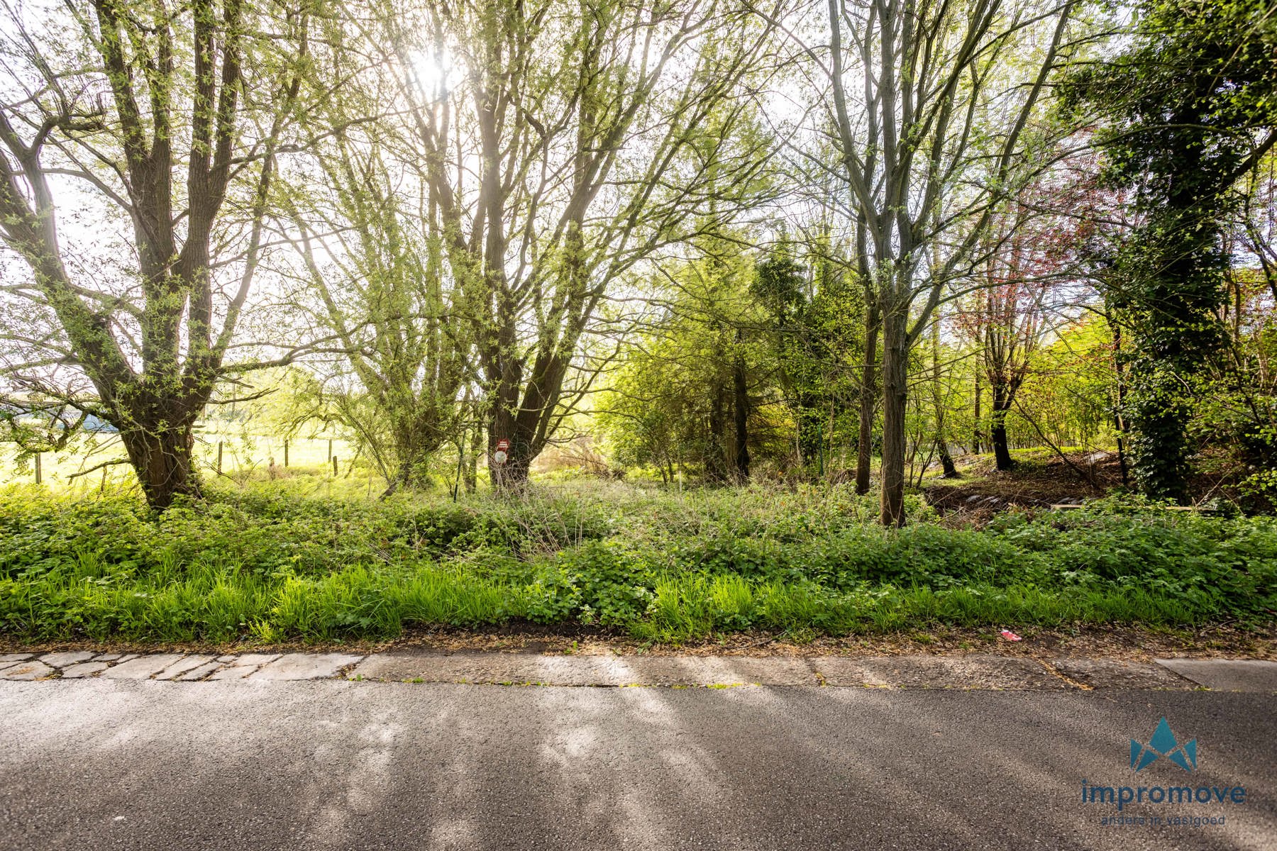 Prachtig natuurgebied op rustige locatie - foto 5