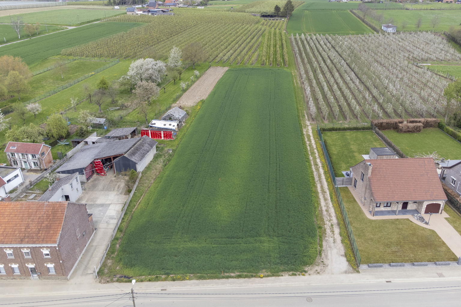 MOOI GELEGEN BOUWGRONDEN IN GLABBEEK  (LOT1) - foto 4