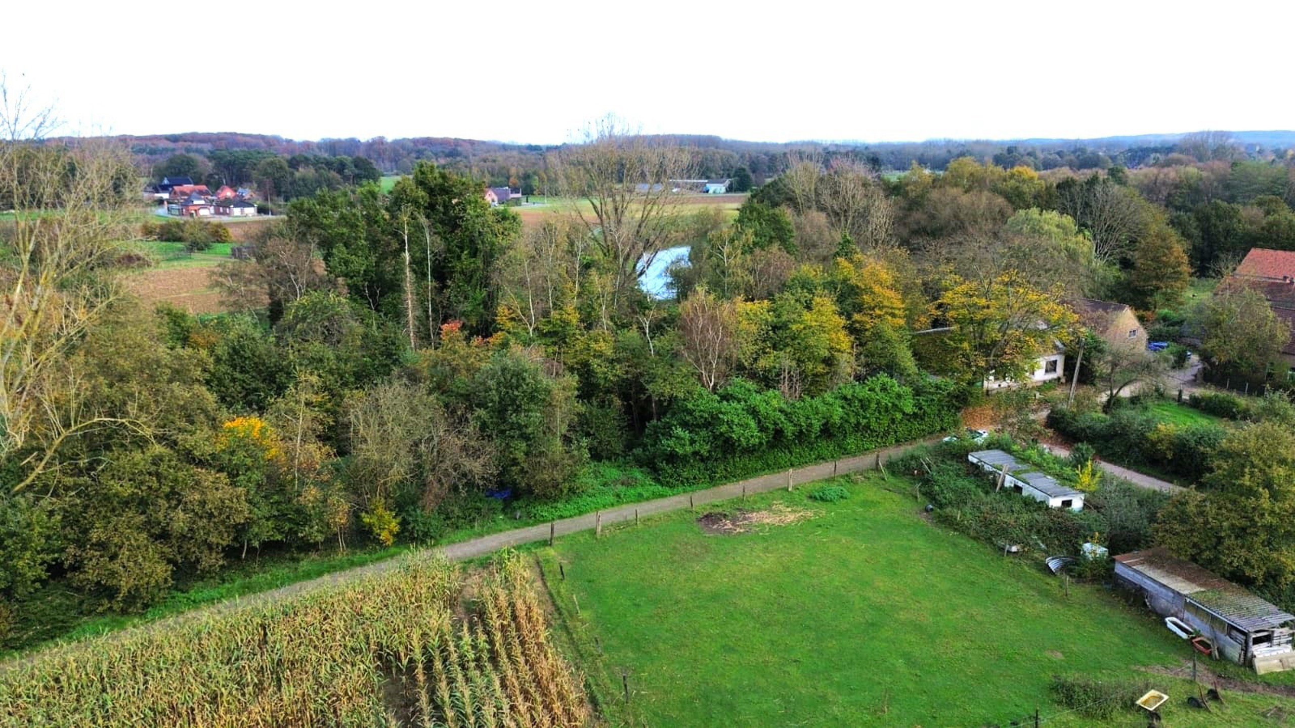 Maison à vendre à Werchter avec 4 chambres - photo 5