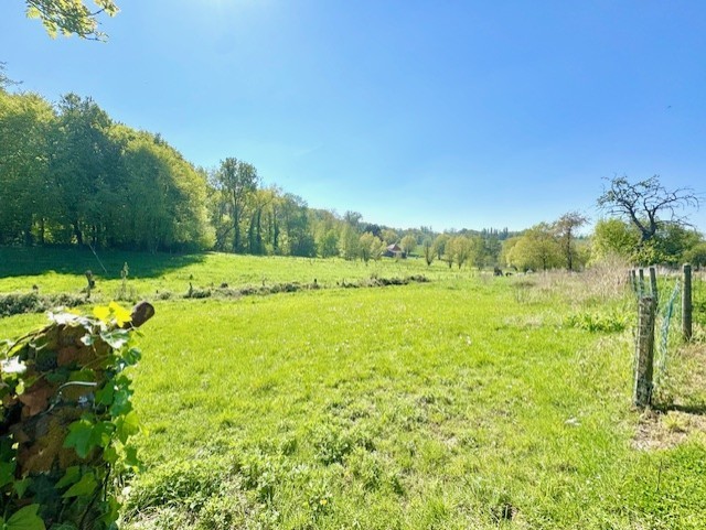 MAISON ET TERRAIN | 4.984 m² - foto 4