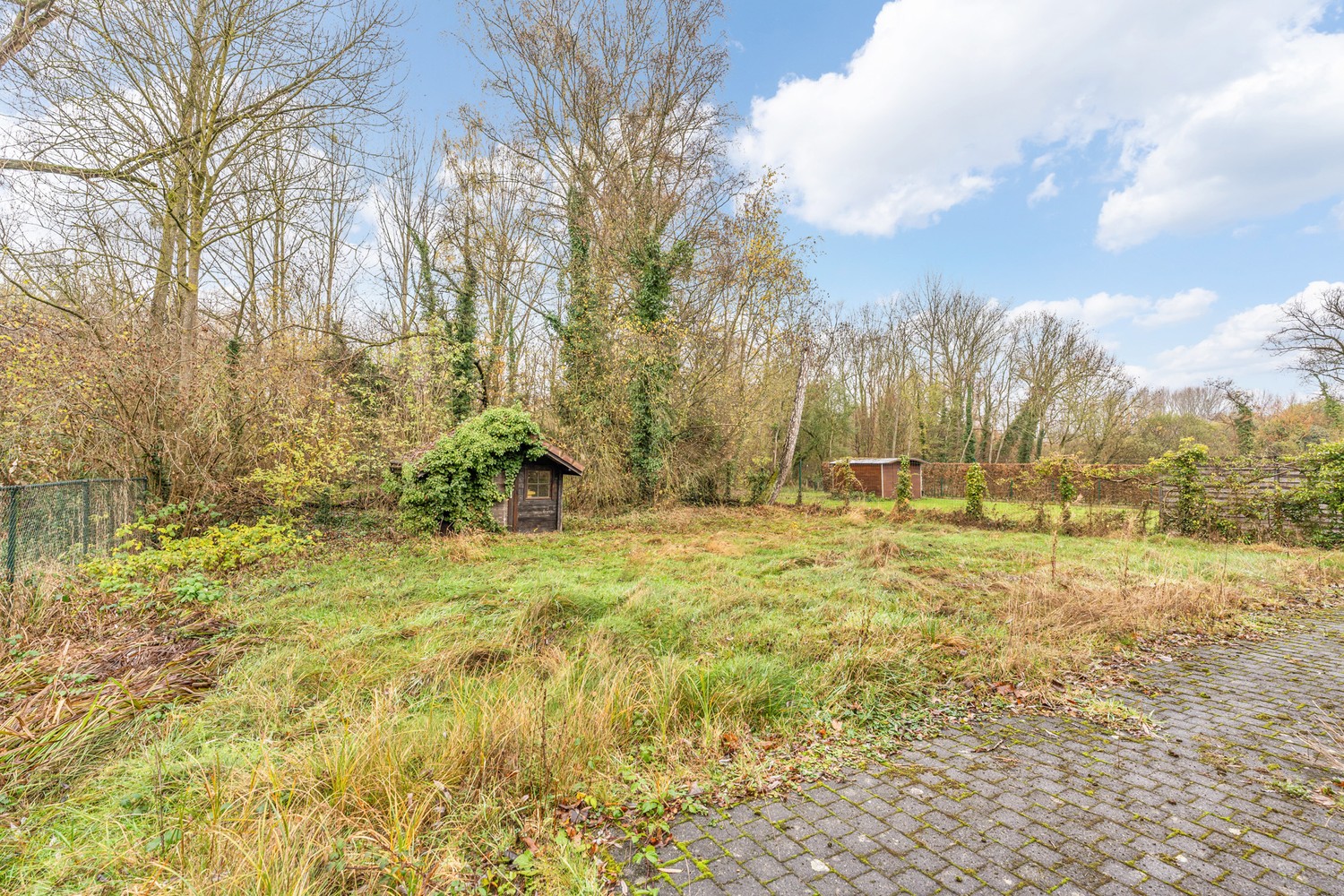 Vrijstaande woning(houtskeletbouw) op een west georiënteerd perceel van 10a48ca op een groene ligging te Bierbeek! - foto 2