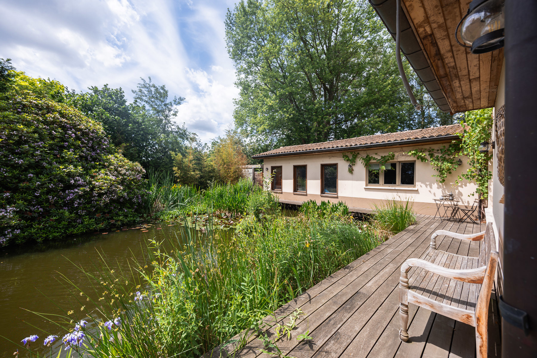 Gerenoveerde energiezuinige villa met adembenemende vijver - foto 4