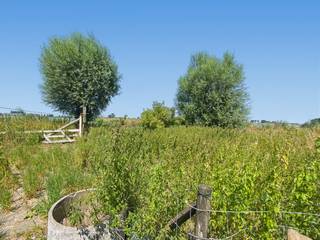 KIJKDAG ZATERDAG 08/08 VAN 10U TOT 12U! (graag vooraf inschrijven) Authentieke hoeve met bijgebouwen en prachtige verzichten in Houtem (Veurne)<br />Op zoek naar een uniek renovatie- of nieuwbouwproject op een uitzonderlijke locatie? Deze authentieke landelijke hoeve in het charmante Houtem, deelgemeente van Veurne, biedt een zeldzame kans voor liefhebbers van ruimte, rust en het landelijke leven. Een enorme troef is dat het eigendom reeds gekend is als zonevreemde woning.<br />De eigendom is volledig te renoveren of mits naleving van de geldende stedenbouwkundige voorschriften, de ideale locatie vormen voor een nieuwbouwproject. De aanwezige bijgebouwen bieden tal van mogelijkheden voor opslag, hobby's, dieren of een combinatie van wonen en werken. Wat deze eigendom echt bijzonder maakt, is de idyllische ligging. Omgeven door open velden geniet u hier elke dag van weidse verzichten, maximale rust en een prachtig uitzicht op het omliggende polderlandschap. Tegelijk bevindt u zich op slechts enkele minuten van Veurne, met een vlotte verbinding naar de kust, de E40 en Frankrijk. Bent u op zoek naar een eigendom waar u uw droomwoning kunt realiseren op een unieke locatie? Dan is deze hoeve absoluut een bezoek waard. Contacteer ons vandaag nog voor meer informatie of een bezichtiging