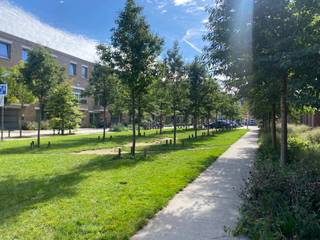  Rustig in het groen wonen, met alle voordelen van de Stad. Instapklaar en bijzonder aangenaam nieuwbouwappartement op de 2de verdieping, gelegen...