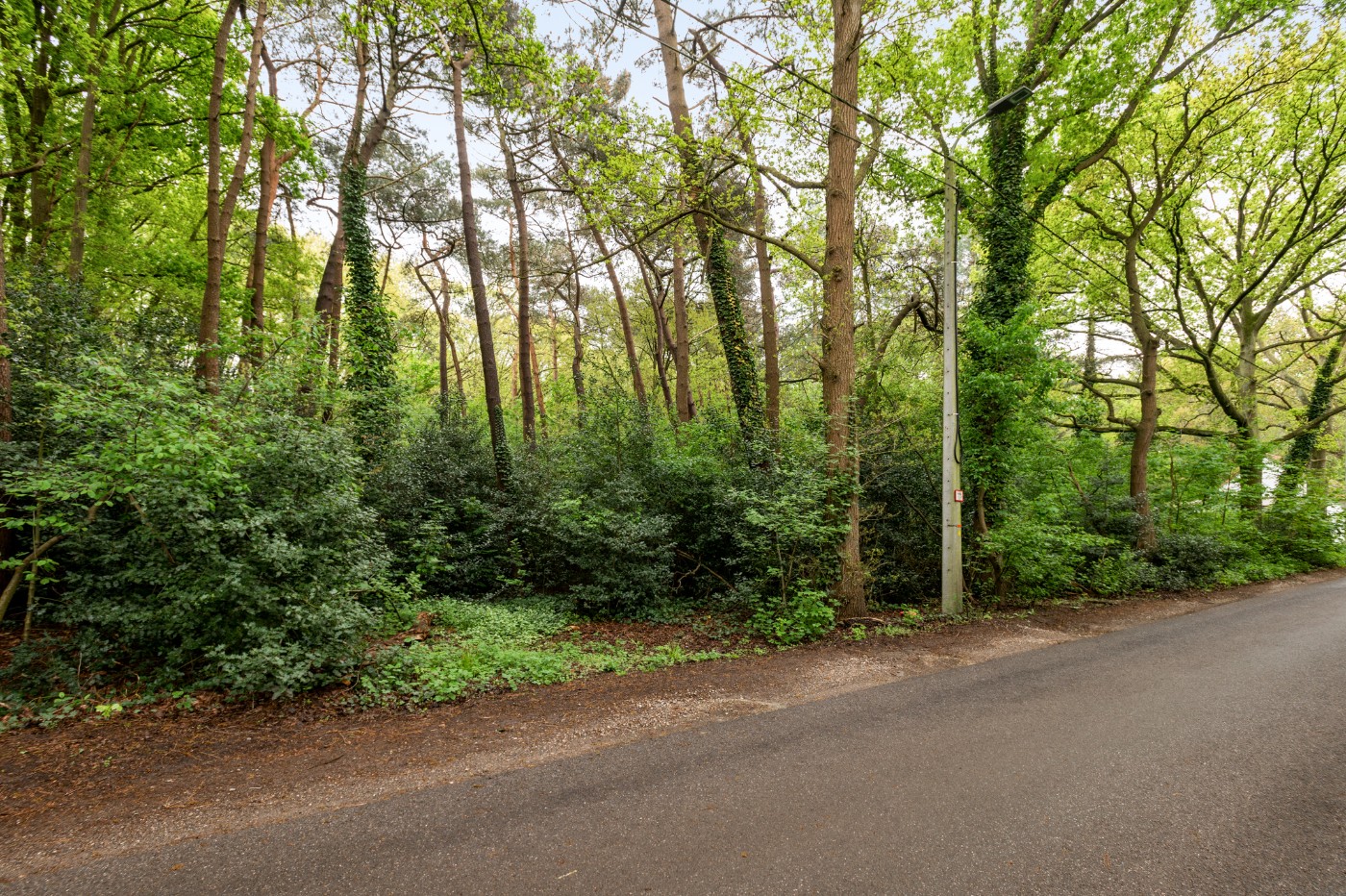 Perceel bosgrond van 1.000m² - foto 2