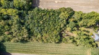 Bent u op zoek naar een stukje pure natuur in eigen land? Deze uitgestrekte bosgrond van 4.690 m² biedt u een zeldzame kans om eigenaar te worden...