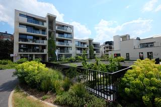 Appartement à louer à Saint-Trond