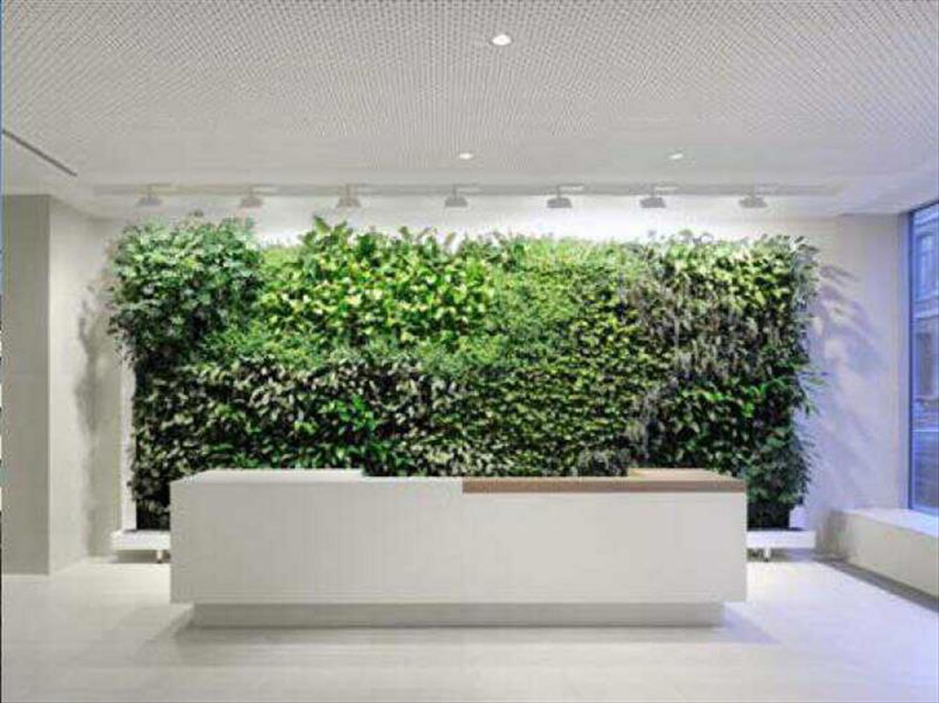 Commercial for rent in Sint-Gillis - photo 4