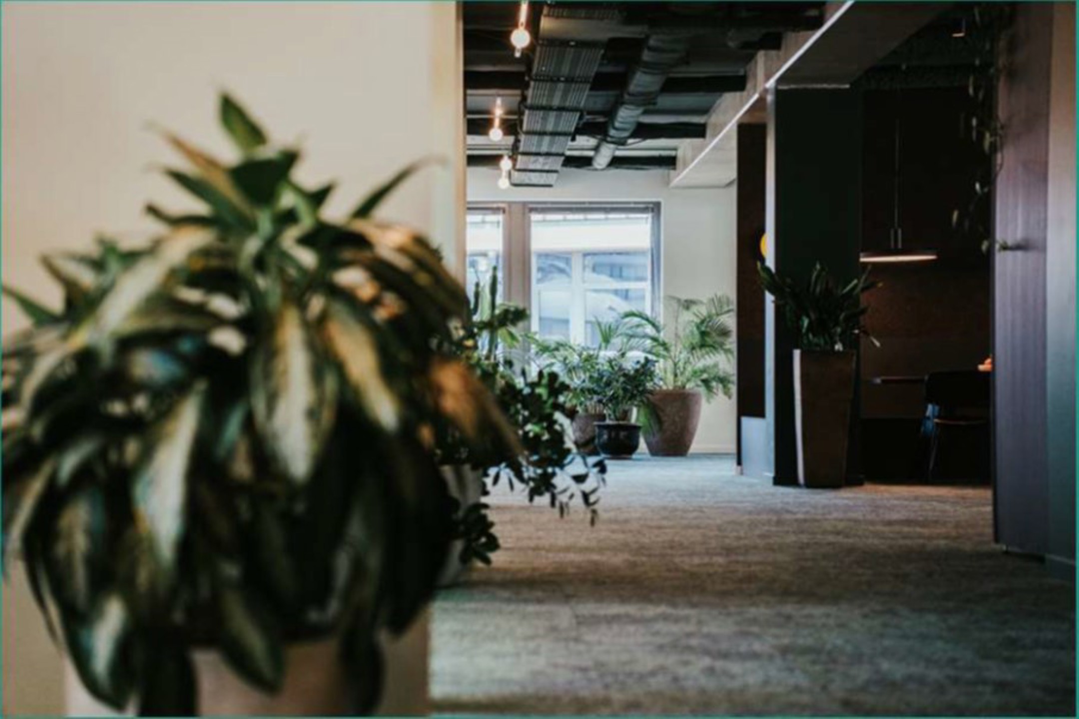 Kantoren te huur CAMPUS 3  GREENLAND - foto 5