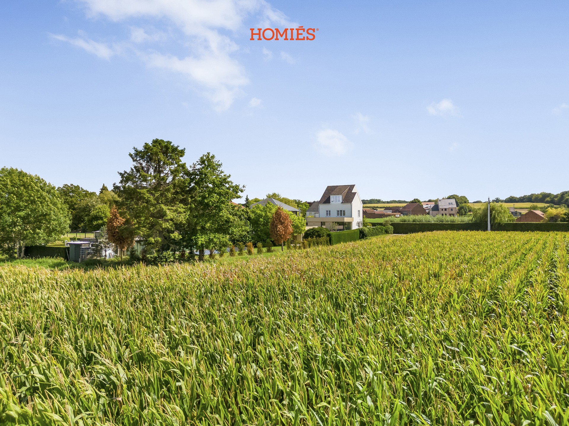 Prachtige, energiezuinige villa in een oase van groen - foto 2