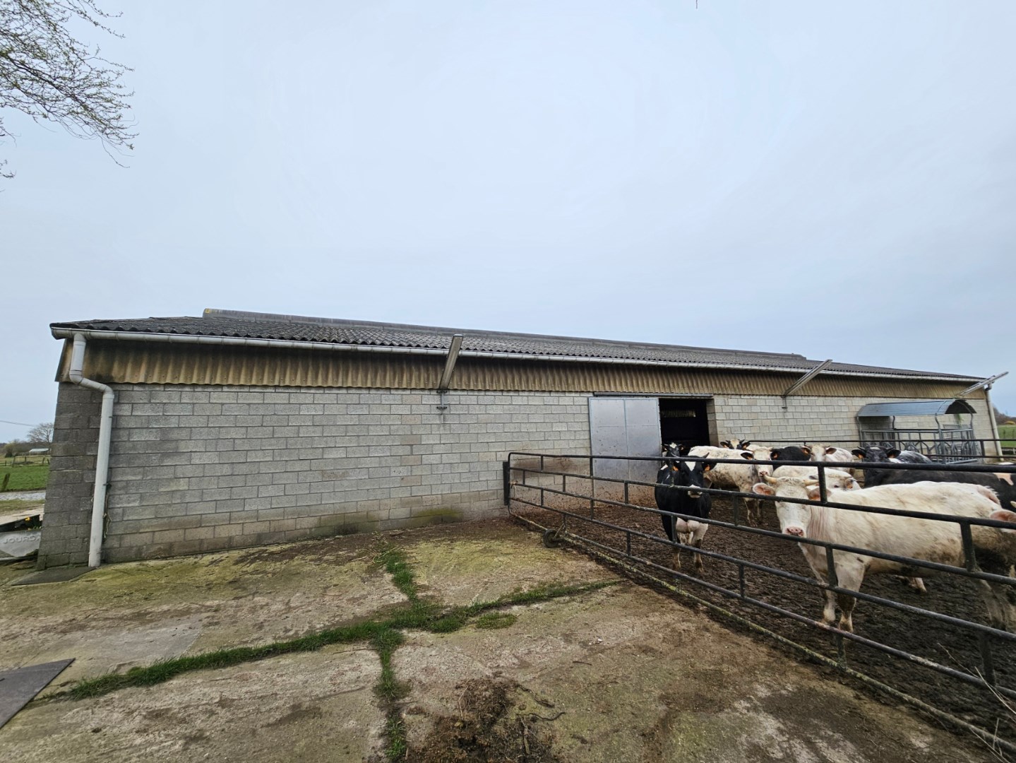 Grond te koop in Herent - foto 5