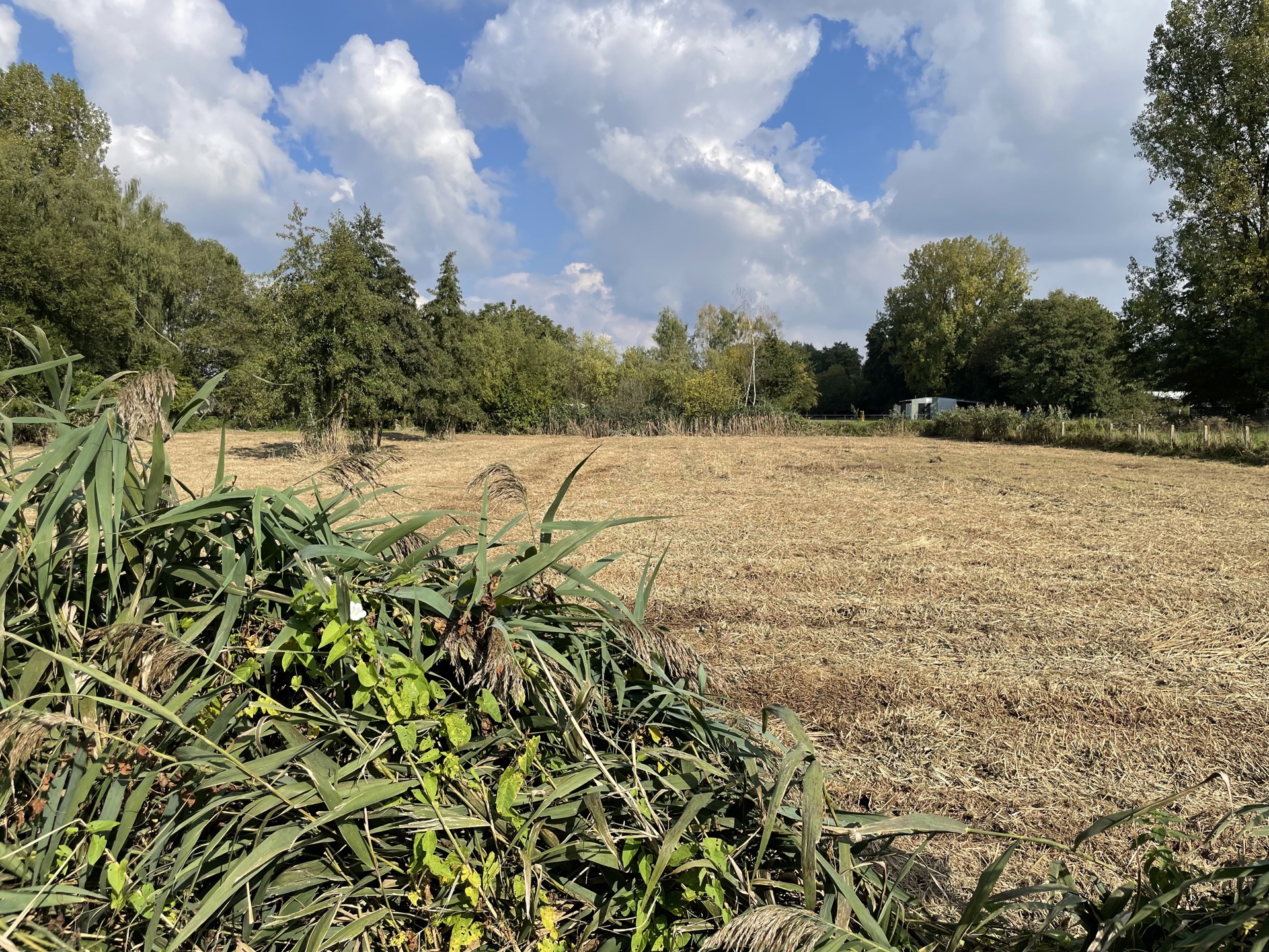 Terrain à vendre à Houthalen-Helchteren - photo 5