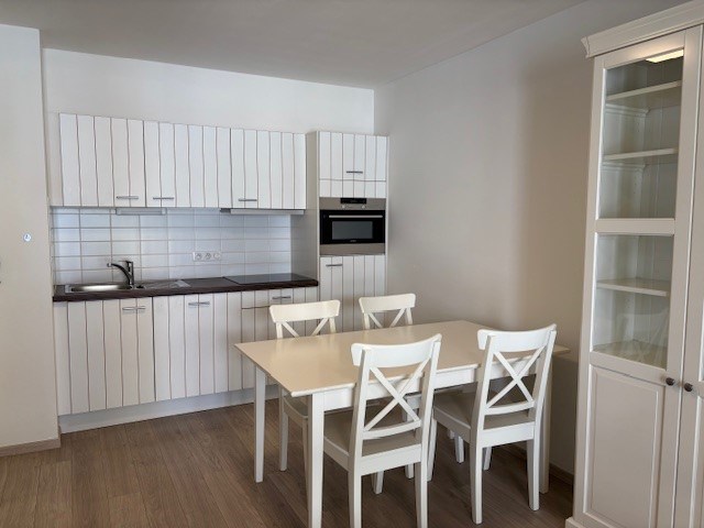 Hip appartement in 2de lijn van de zeedijk in het bruisende Mariakerke - foto 3