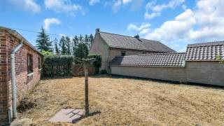 Immo3000 heeft deze charmante woning te koop in het rustige Sint-Joris-Winge. Deze gezellige gezinswoning beschikt over een bewoonbare oppervlakte van 141 m². De woning is gelegen op een ruim perceel van 1732 m², waarbij het tuingedeelte is gelegen aan de zij- en achterkant, wat zorgt voor voldoende privacy en vele mogelijkheden om te ontspannen of om met familie en vrienden buiten te vertoeven.<br />Op de benedenverdieping vinden we een leefruimte met open keuken, een badkamer en een overdekt terras. Op de eerste verdieping zijn er twee zeer ruime slaapkamers.<br />Er is een grote garage aanwezig (eventueel om te vormen naar andere doeleinden) en parkeerplaats op eigen terrein.<br />Dankzij de gunstige ligging bent u omringd door natuur en rust, terwijl u toch vlot toegang heeft tot alle nodige voorzieningen in de omgeving, ideaal voor wie op zoek is naar een nieuwe thuis met veel potentieel!<br />Gezien de woning een EPC-label F heeft, moet er wel binnen de zes jaar na aankoop gerenoveerd worden naar minstens een EPC-label D (renovatieplicht).<br /><br />