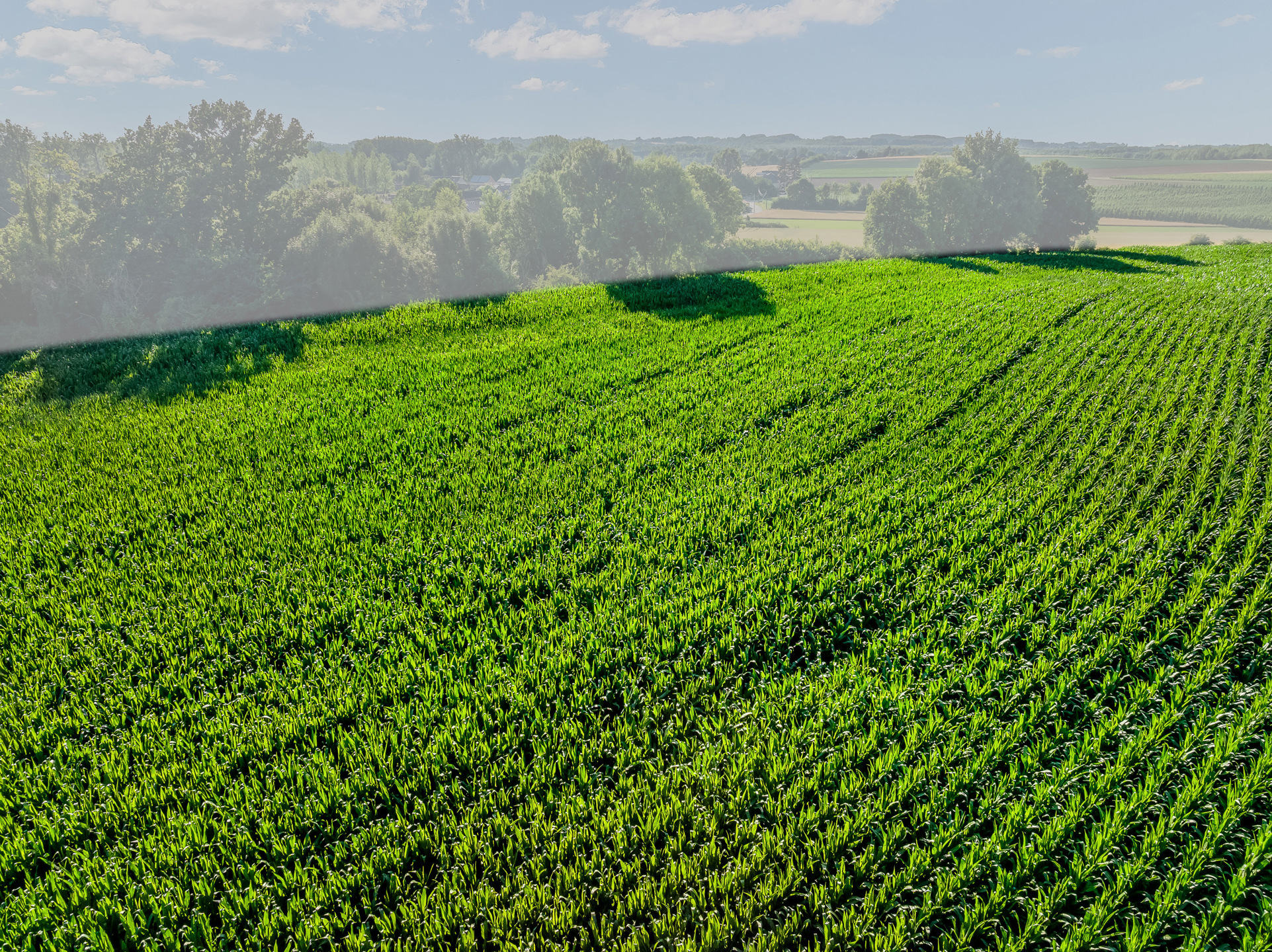 Landbouwgrond 1ha36a02ca te Ketsingen (Tongeren) - foto 5