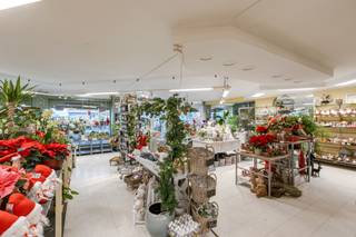 Op deze goede locatie vind je dit veelzijdige pand, momenteel ingericht als bloemenwinkel. Door zijn centrale ligging heb je het genot van...