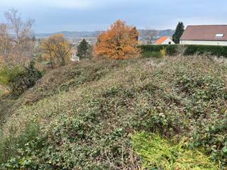 Découvrez l'emplacement parfait pour votre maison de rêve à Braine-le-Château ! Ce terrain à bâtir, situé dans un environnement verdoyant et...