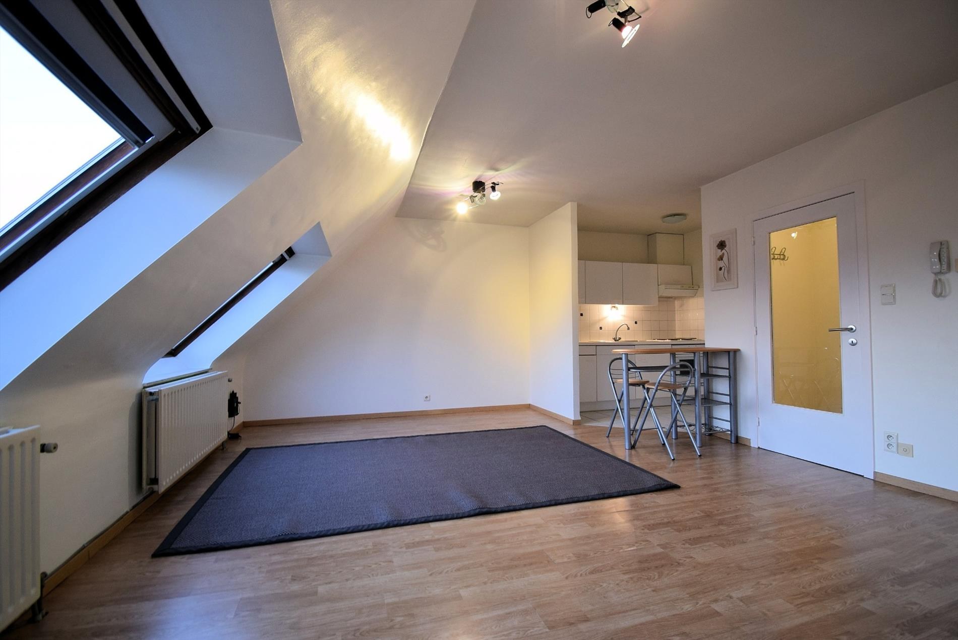 GEZELLIG EENSLAAPKAMER APPARTEMENT - foto 4