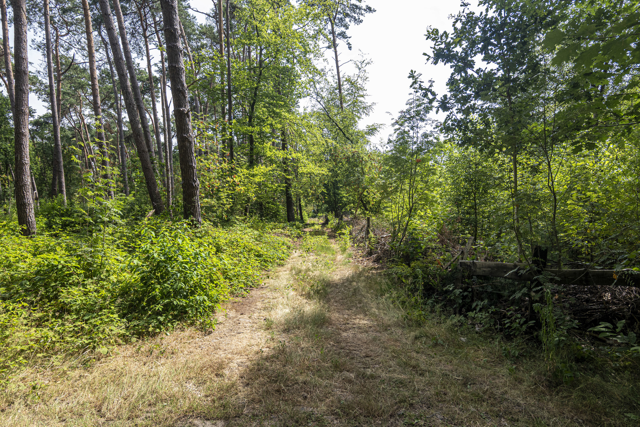 Terrain à vendre à Vorselaar - photo 5