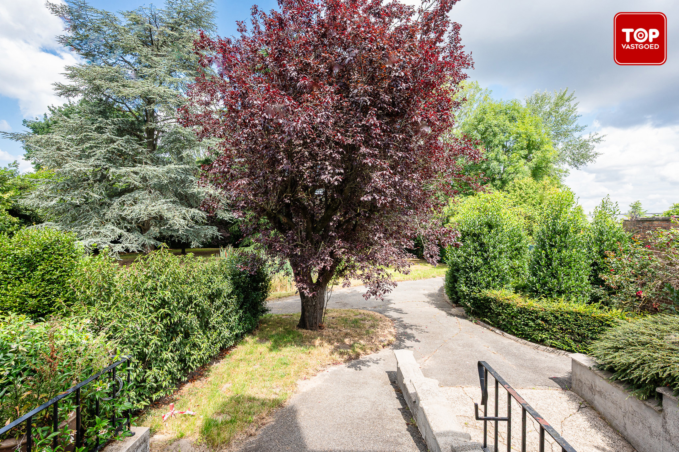 Vernieuwde woning met 4 slaapkamers en gunstige EPC score - foto 3