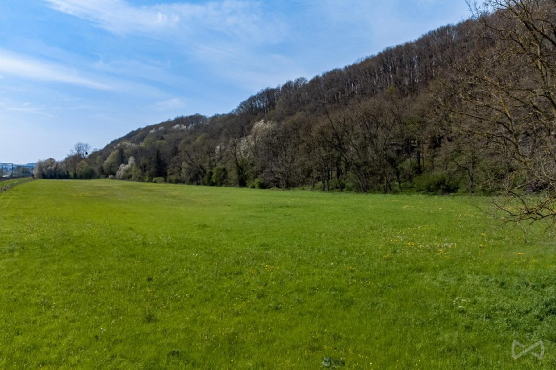 Grond te koop in Wanze - foto 5