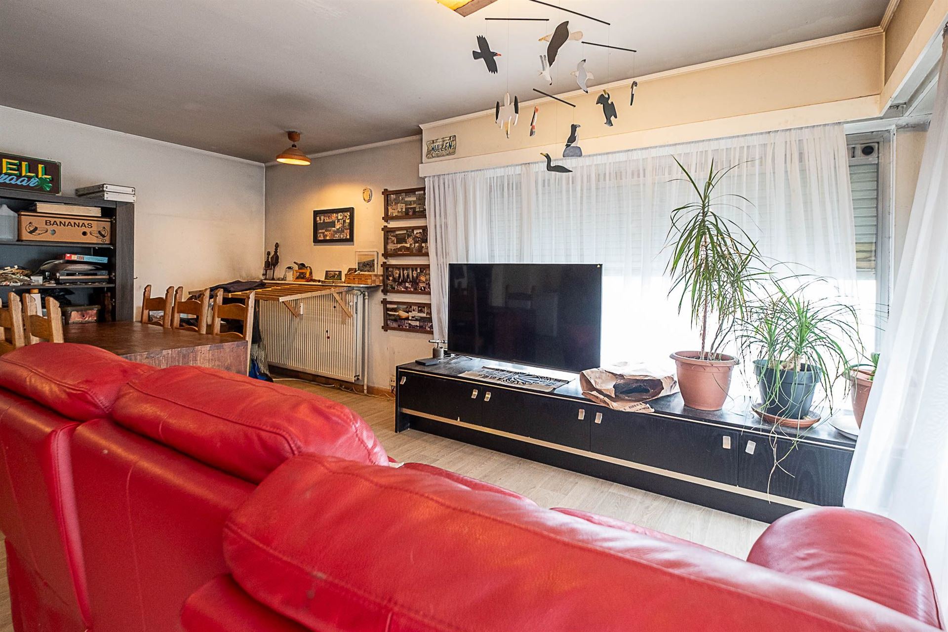 Gelijkvloers appartement met 2-3 slaapkamers, terras 70 m² en dubbele garage - foto 5
