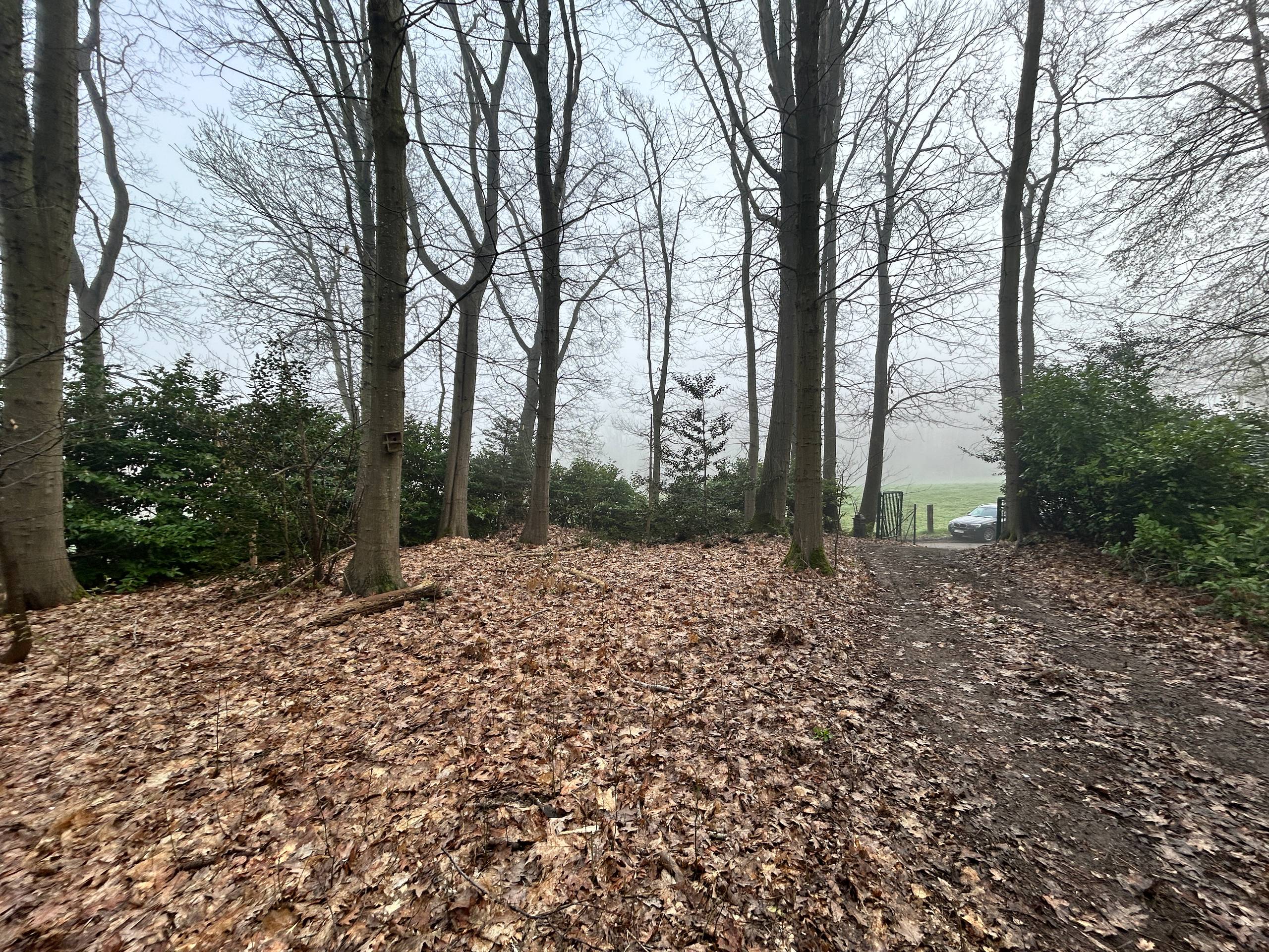 Te koop: chalet in de Nonnebossen - foto 5