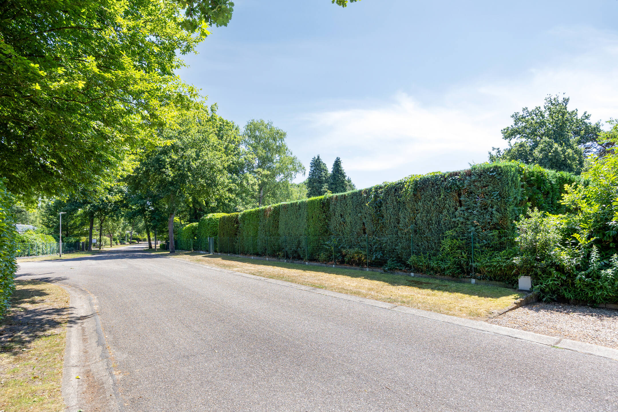 Gelijkvloerse villa te koop in Heusden-Zolder - foto 3