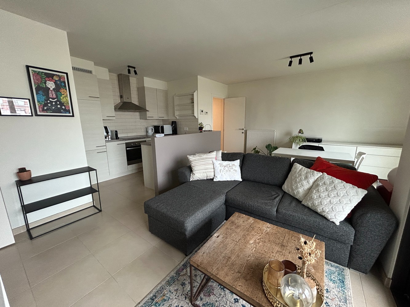 Appartement te huur in Antwerpen met 1 slaapkamer - foto 2