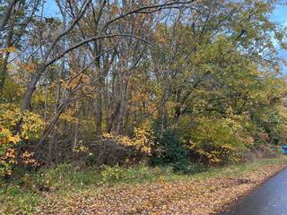 Dit perceel maakt deel uit van een groter geheel aan 'woeste grond- heidegrond' in agrarisch gebied en is gelegen langs een wegenis...
