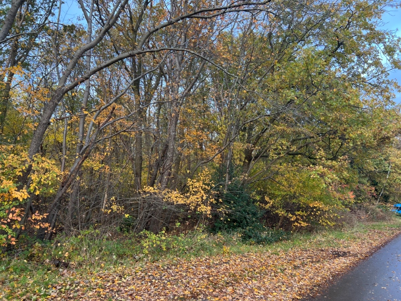 Grond gelegen aan servitudewegenis - photo 1