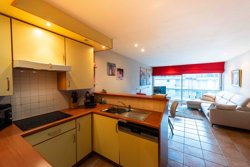 Instapklaar gemeubeld appartement met garage in Nieuwpoort-Bad - foto 2