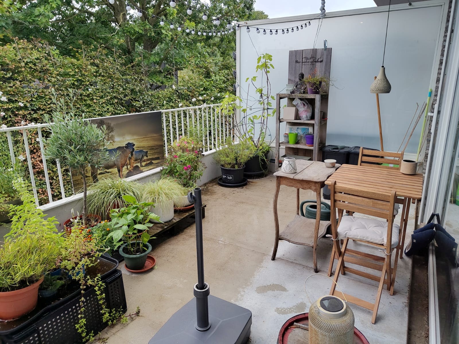 Instapklaar één-slaapkamerappartement centrum Tielt! - foto 5