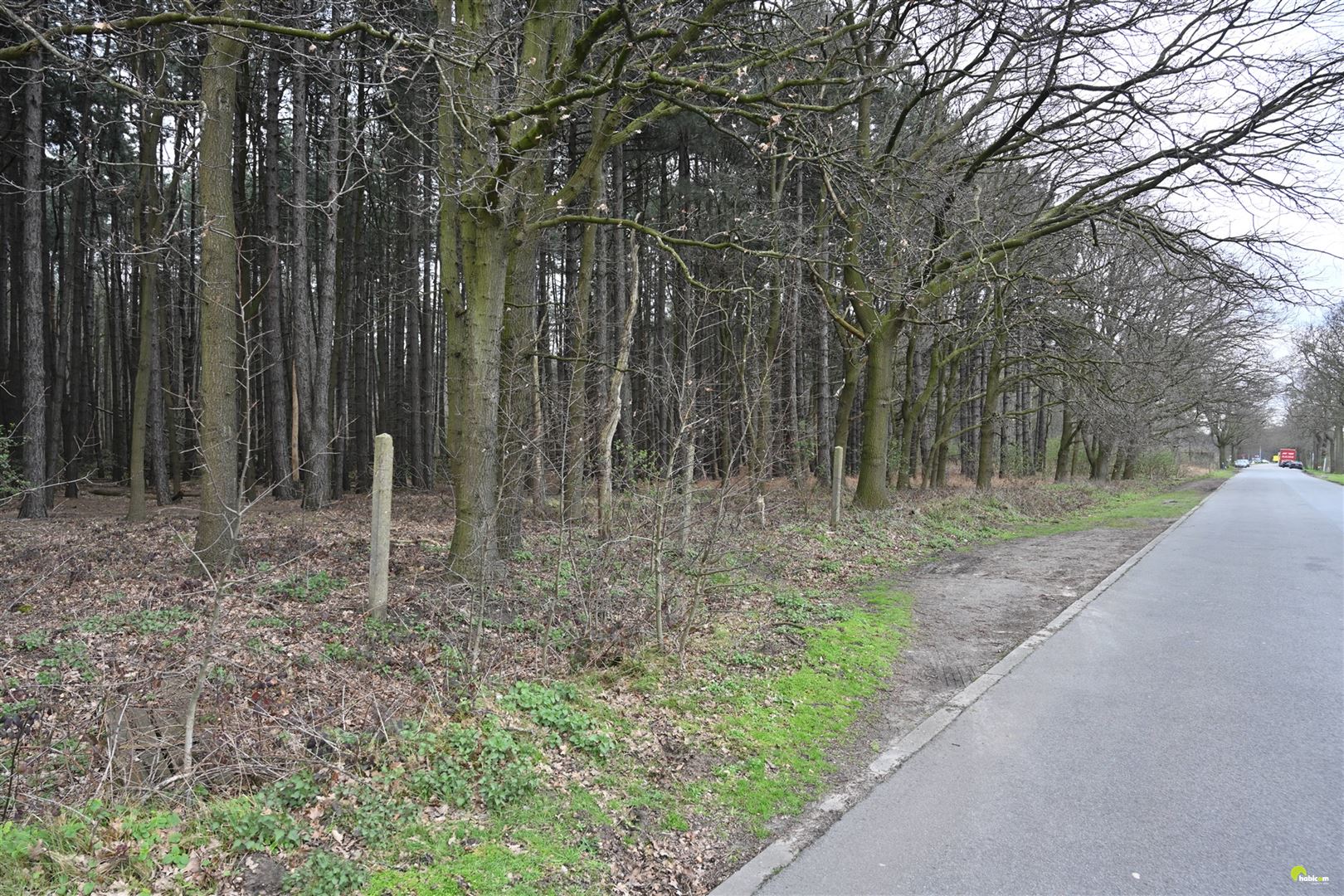 Mooie bosgrond met loofbomen te Wachtebeke! - foto 1