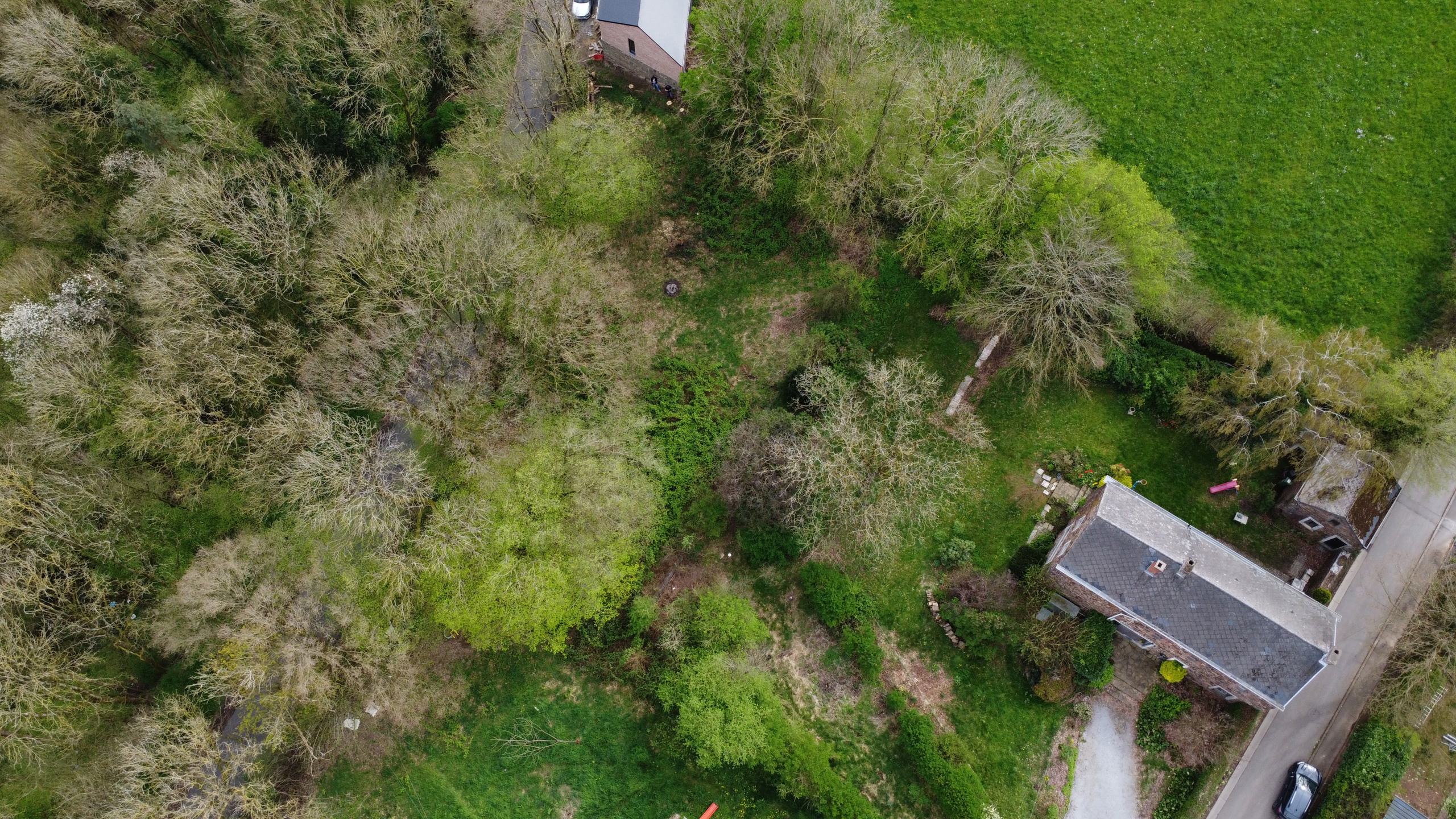 Grond te koop in Marchin - foto 5