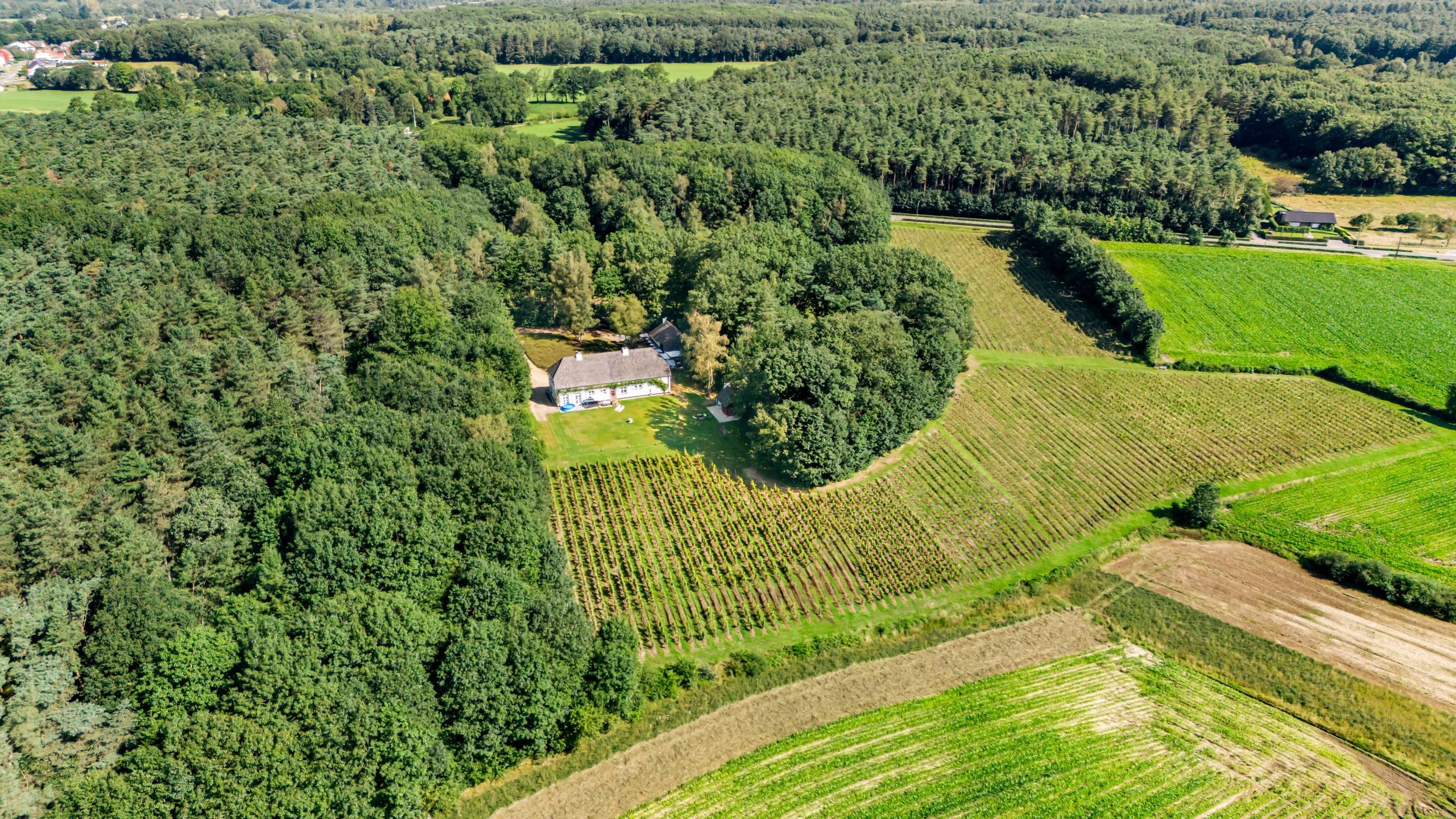 Magnifique domaine viticole à Herselt sur un terrain d'environ 5,1 hectares - photo 5