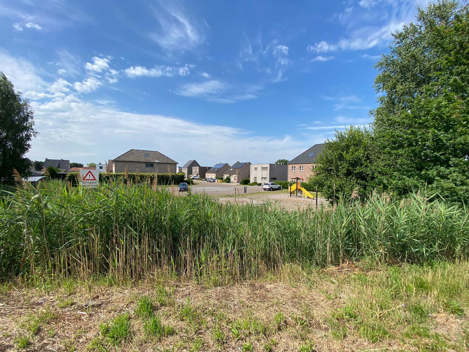 Grond te koop in Balen - foto 4