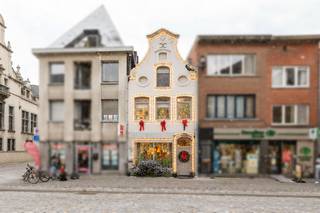 Deze unieke eigendom in het hart van Mechelen biedt zowel commerciële als residentiële mogelijkheden. Gelegen aan de veemarkt, op een...