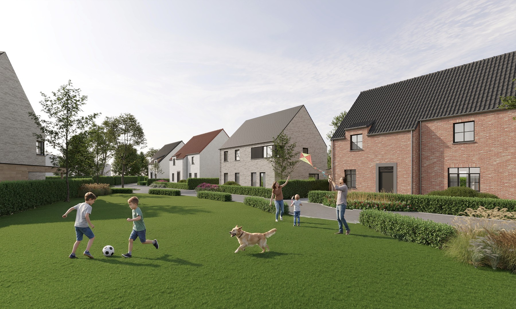 Project te koop in Nieuwpoort - foto 2