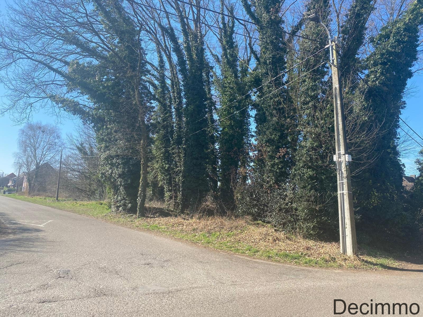 Land for sale in Balen - photo 1