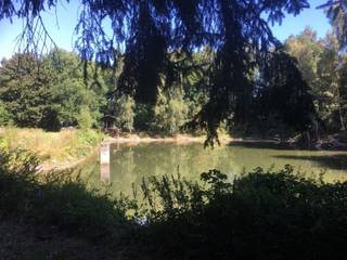 In midden van het groen gelegen weilanden, bos, 3 vijvers en te renoveren chalet (ca 40m), op een perceel van meer dan 5ha.Dit is de plaats voor...