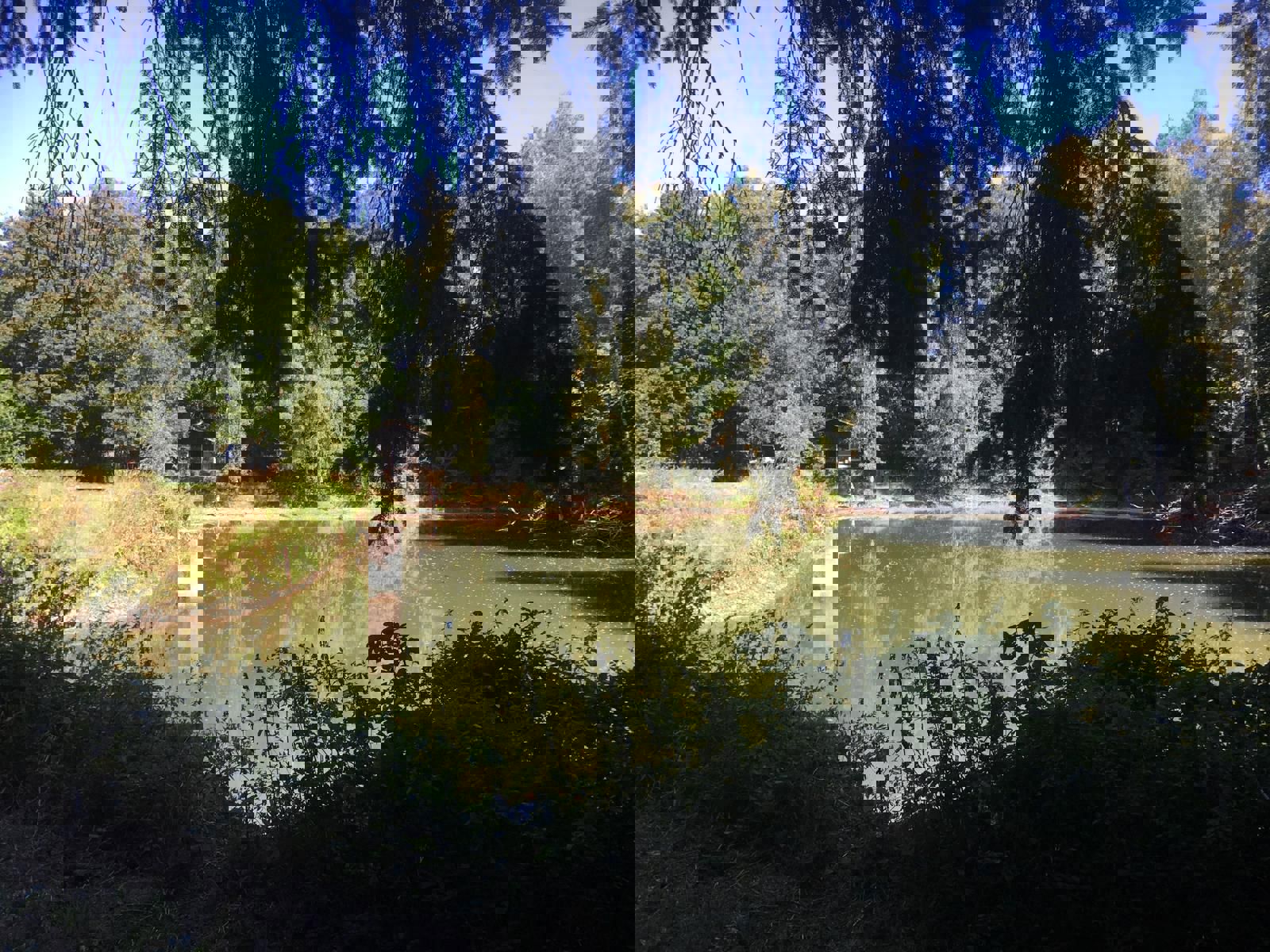 Huis te koop in Vielsalm - foto 3