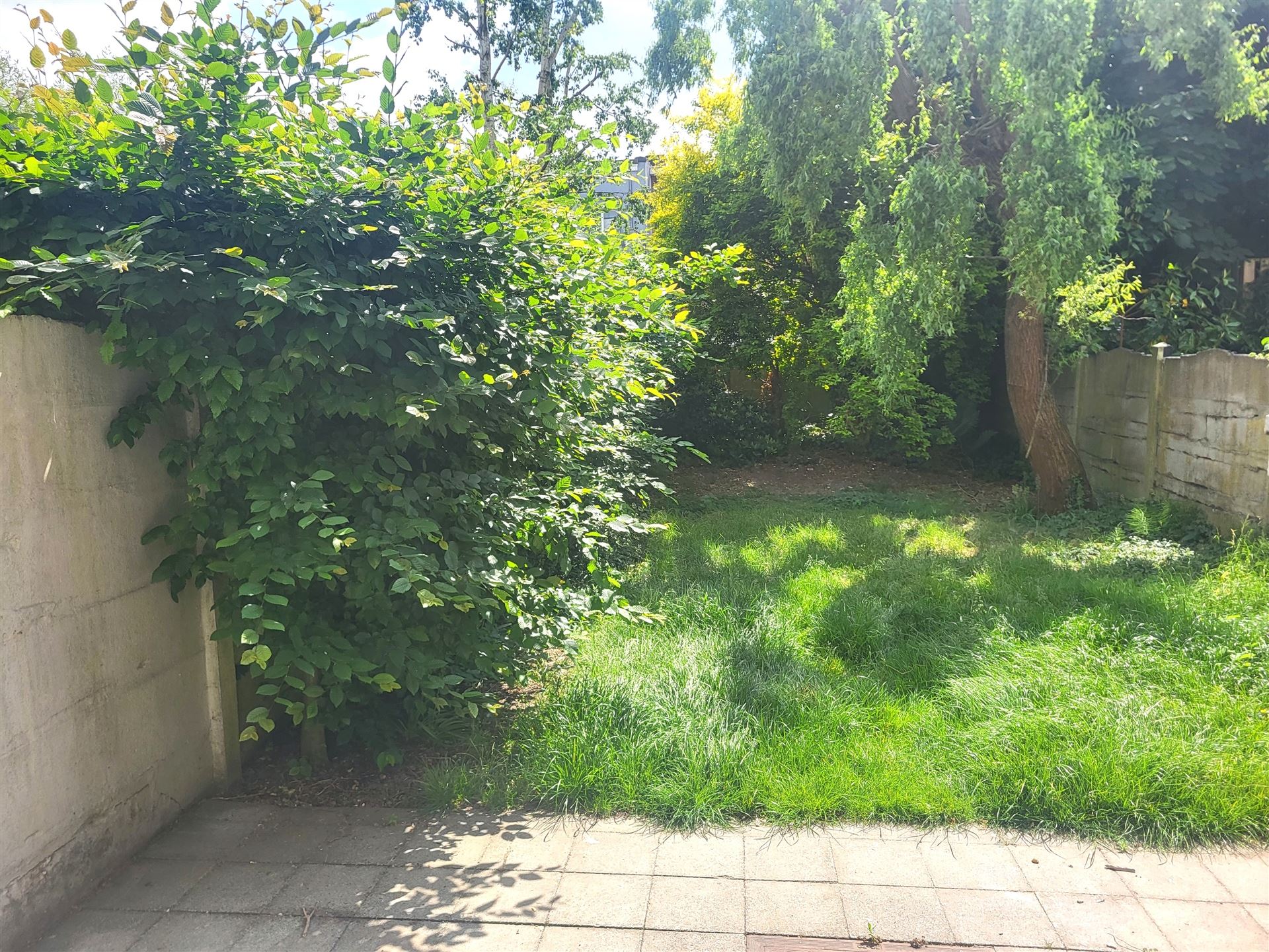 Opbrengsteigendom met 3 app - foto 2