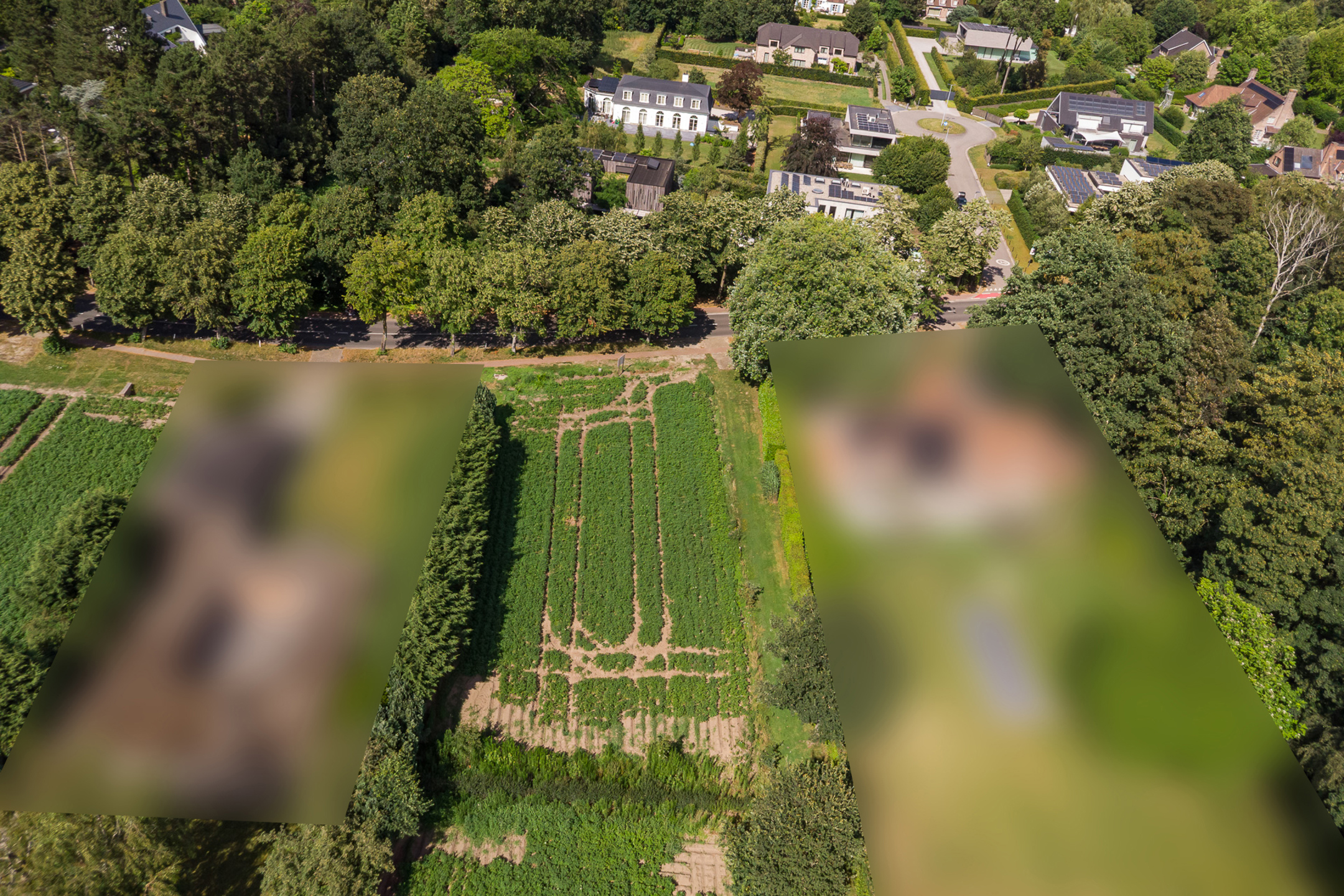 Land for sale in De Pinte - photo 4