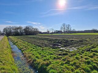 Terrain à vendre à Hulshout